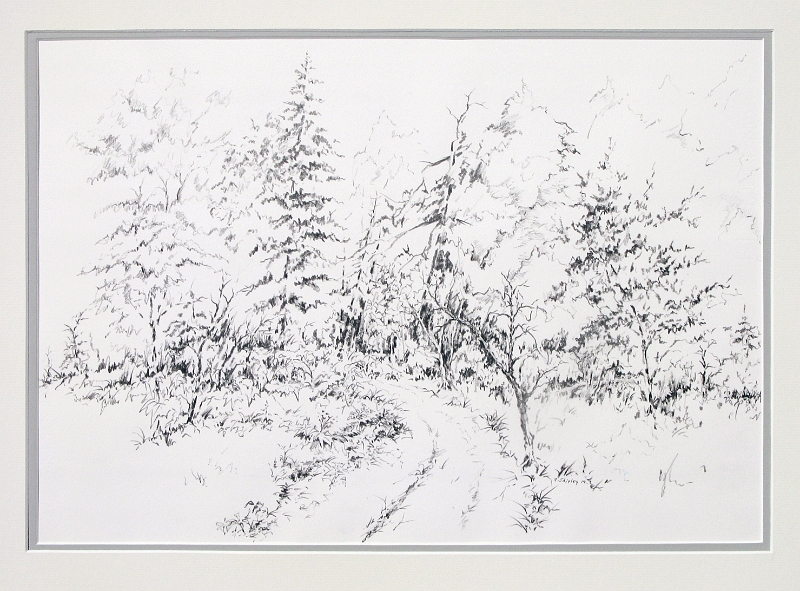 Forest Path 2, 15x22 inches, graphite pencil, 2014.jpg